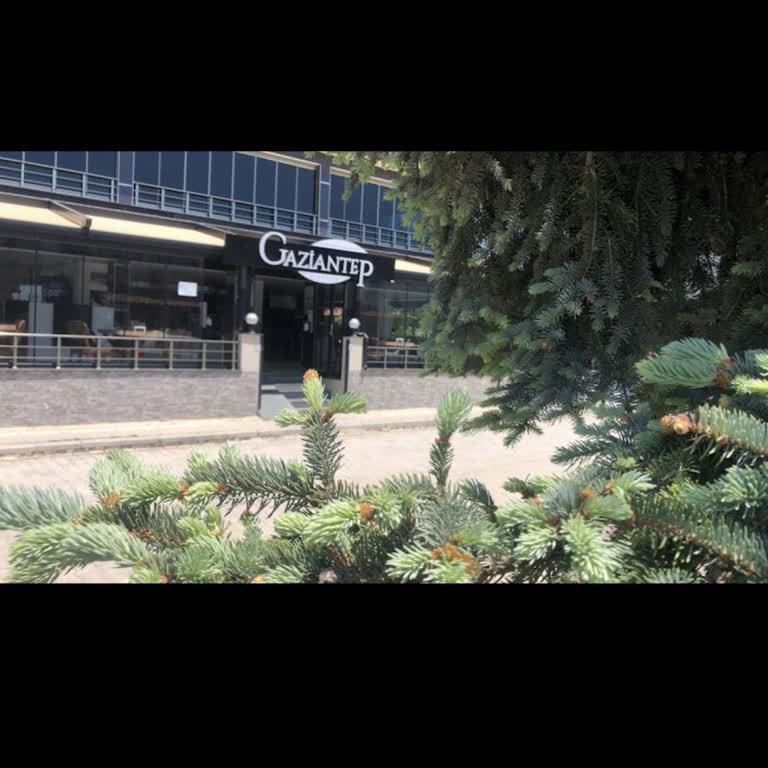 Enez Gaziantep Birbilen Restoranında Kötü Hizmet Ve Kalitesiz Döner Deneyimi