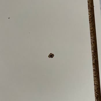 Ergül Mobilya Teslimat Ve Kurulumda Mağduriyet Yaşattı Müşteri Memnuniyeti Yok