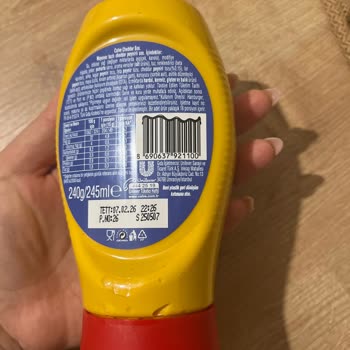 Kötü Kokulu Sos Yüzünden Yemeğim Ziyan Oldu Ve Aç Kaldım