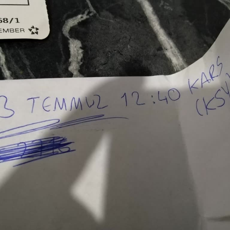 Tekerlekli Sandalye Hizmeti Nedeniyle Uçağa Alınmama Mağduriyeti