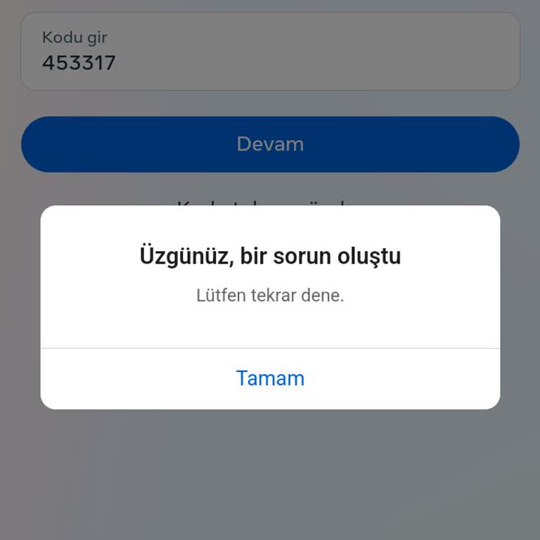 Şifre Sıfırlama Adımları İşe Yaramıyor, Hesabıma Erişemiyorum