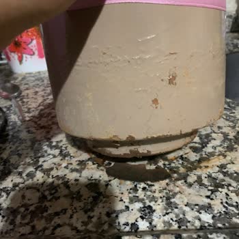 Orkide Siparişimde Kötü Hizmet Ve İlgisizlik