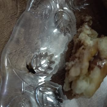 File Market'ten Alınan Donut'ta Hijyen Sorunu Ve Bayat Ürün Şikayeti