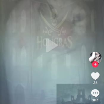 TikTok'ta Hayvanlara Ve Kadınlara Yönelik Şiddet İçeren İçeriklere Tepki