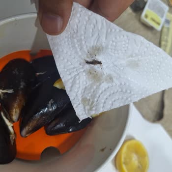 Midyeci Ahmet Siparişimde Hijyen Açısından Sınıfta Kaldı