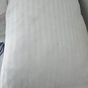 Hijyen Sorunları Ve Müşteri Memnuniyetsizliği Nedeniyle Tatil Hayal Kırıklığına Dönüştü