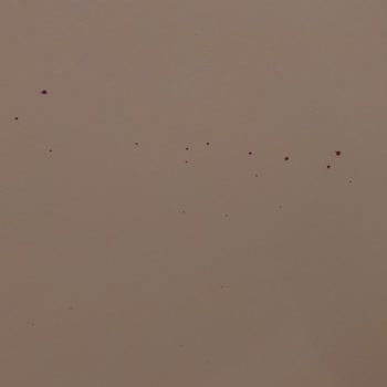 Golden Age Bodrum Engellilere Engel Oluyor