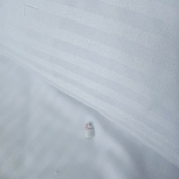 Otel Hijyeni Ve Müşteri Memnuniyeti Sıfır, 1 Günümüz Rezil Oldu