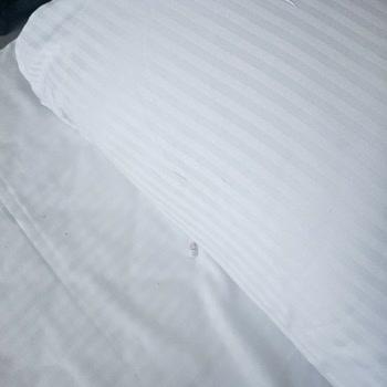 Otel Hijyeni Ve Müşteri Memnuniyeti Sıfır, 1 Günümüz Rezil Oldu