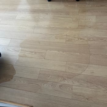 Vestel Yetkili Servis Müdahalesi Sonrası Su Baskını Ve Ücret İadesi Sorunu