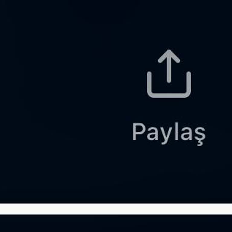 Instagram Arşivdeki Fotoğrafları Tekrar Paylaşamıyorum!