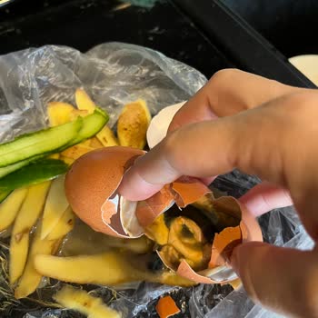 File Market Bozuk Organik Yumurta Satışı