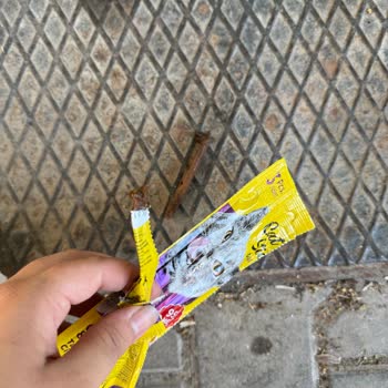 Ezilmiş Ve Bozuk Kedi Ödül Mamaları Sokak Hayvanlarını Riske Atıyor