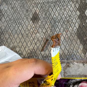 Ezilmiş Ve Bozuk Kedi Ödül Mamaları Sokak Hayvanlarını Riske Atıyor