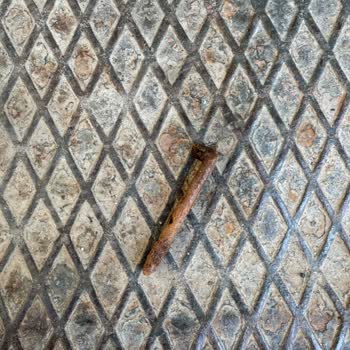 Ezilmiş Ve Bozuk Kedi Ödül Mamaları Sokak Hayvanlarını Riske Atıyor