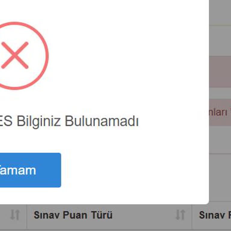 ALES Sonuçlarının Sisteme Yansımaması Nedeniyle Başvuru Yapamıyorum