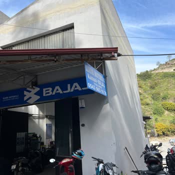 Garanti Kapsamında Katalizör Sorununa Destek Bekliyorum