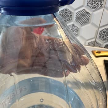 Abant Su'nun Tadında Ve Kalitesinde Son Zamanlarda Yaşanan Değişiklik