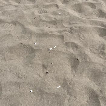 Plajlarda Temizlik Sorunu Ve Sigara İzmariti Problemi
