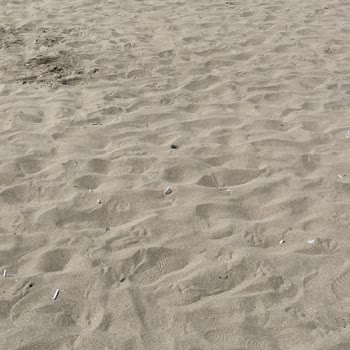 Plajlarda Temizlik Sorunu Ve Sigara İzmariti Problemi