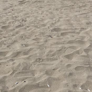 Plajlarda Temizlik Sorunu Ve Sigara İzmariti Problemi