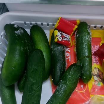 Vestel Buzdolabında Sürekli Arıza Ve Çözümsüz Servis Deneyimi