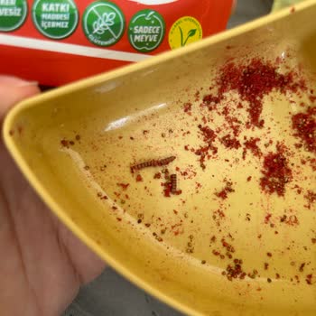 Pol's Gurme Dondurulmuş Çilek Ürününde Yabancı Madde Ve Güven Sorunu!