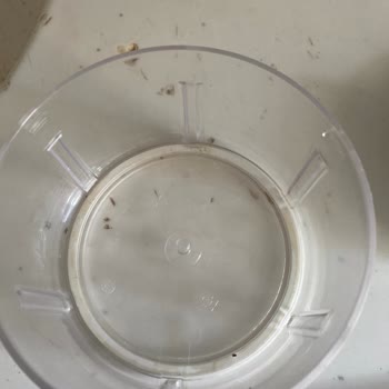 Tefal Manuel Rondo İçin Yedek Bıçak Bulamama Mağduriyeti