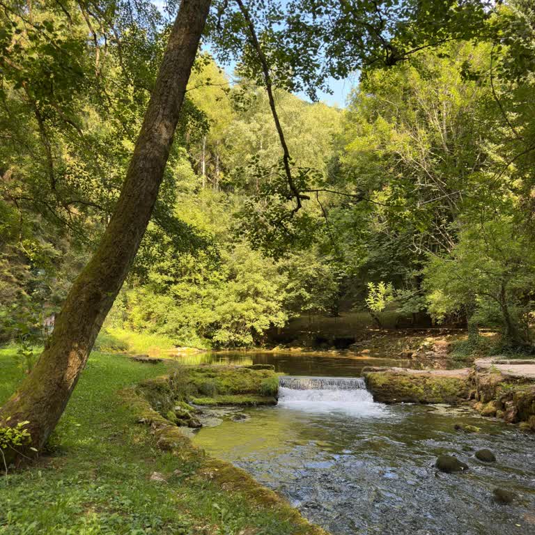 Deneyimsiz Rehberler Yüzünden Hayal Kırıklığına Uğradık