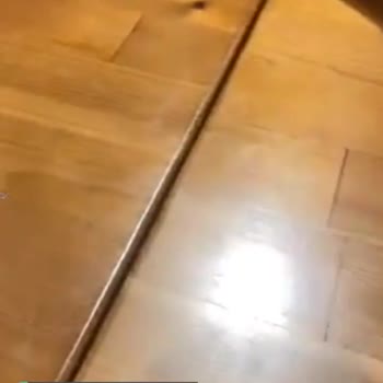 Tostçu Mahmut Sorumsuzluğu Ve Umursamazlığı