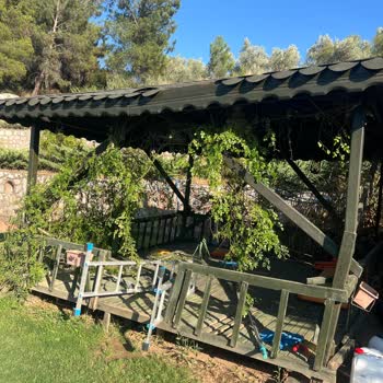 I Rented Airbnb’s 'Farmhouse in the Nature' but Found It in Ruins and Got No Help