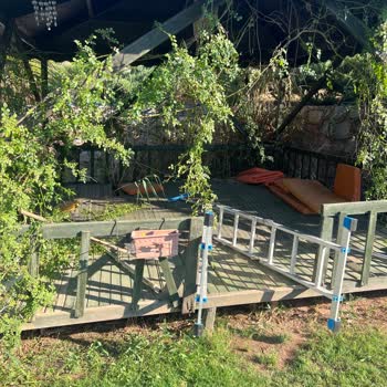 I Rented Airbnb’s 'Farmhouse in the Nature' but Found It in Ruins and Got No Help