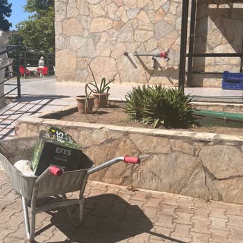 Talia Beach Hotel | Erdek Kötü Konaklama Deneyimi