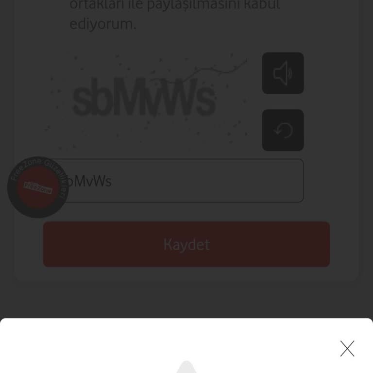 FreeZone Kullanıcı Tanımlama Sorunu 4 Aydır Çözülmüyor