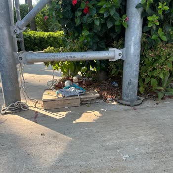 Otelin Hizmetleri Ve Yemekleri Beklentilerin Çok Altında