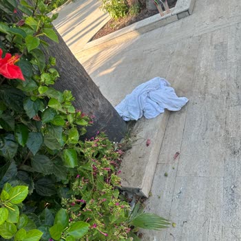 Otelin Hizmetleri Ve Yemekleri Beklentilerin Çok Altında