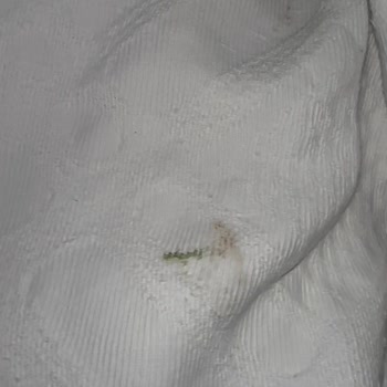 Otelin Hizmetleri Ve Yemekleri Beklentilerin Çok Altında