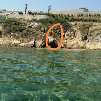 Bodrum Belediyesi Koyunbaba Halk Plajına Akan Ne Olduğu Belli Olmayan Şey