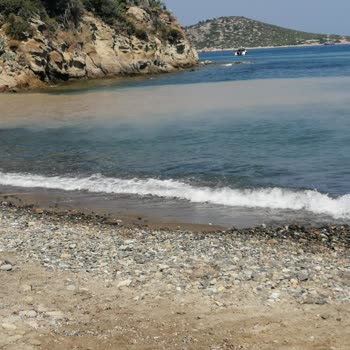 Bodrum Belediyesi Koyunbaba Halk Plajına Akan Ne Olduğu Belli Olmayan Şey
