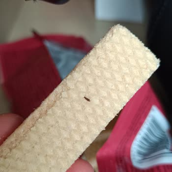 Hoşbeş Gofrette Böcek Şoku: Güvenim Sarsıldı