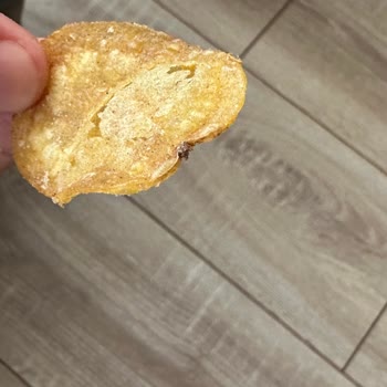 A101 Aldığım Cipsin İçinden Böcek Çıkması