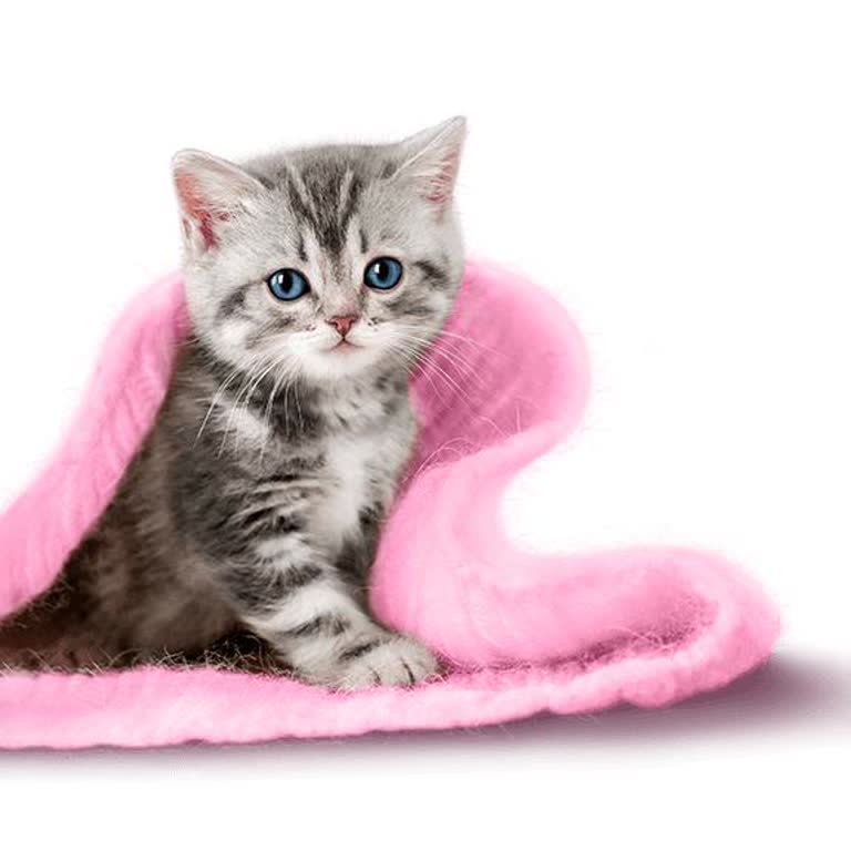 Taahhüt Bitmeden Geçişte Haksız Cayma Bedeli Şoku Yaşadım