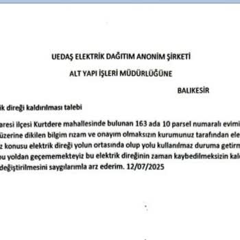 Yolun Ortasına Dikilen Elektrik Direği Can Güvenliğimizi Tehlikeye Atıyor