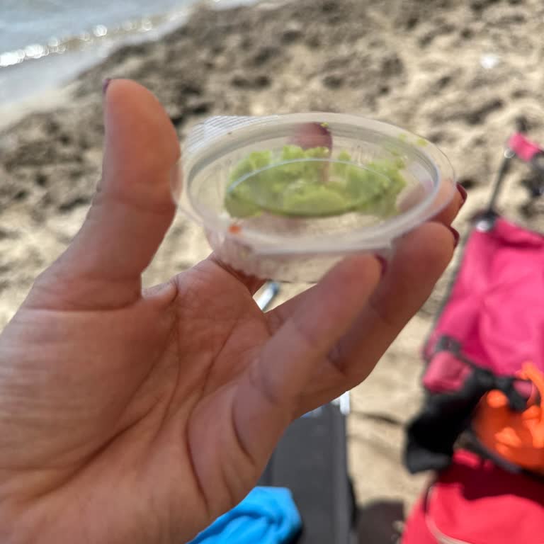 Wasabi'nin Kalitesi Ve Lezzeti Gittikçe Kötüleşiyor