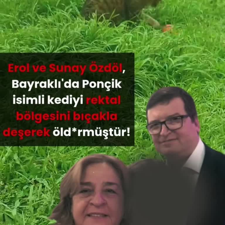 Okul Güvenlik Görevlisinin Hayvana Şiddet İddiası Hakkında Endişe