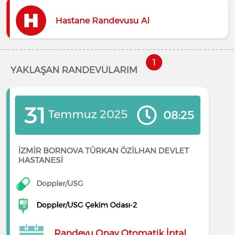 MHRS - 182 Randevum Sistem Hatasıyla İptal Edildi, Mağduriyet Yaşadım