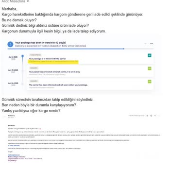 Teslim Edilmeyen Ürün, Cevapsız Sorular: Hayal Kırıklığı