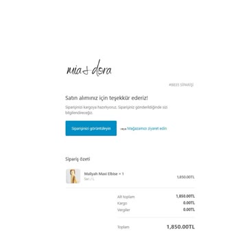 Teslim Edilmeyen Ürün, Cevapsız Sorular: Hayal Kırıklığı