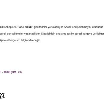 Teslim Edilmeyen Ürün, Cevapsız Sorular: Hayal Kırıklığı