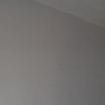 Renk Kartelasındaki Krem Renk Gerçekte Menekşe Mavi Çıktı